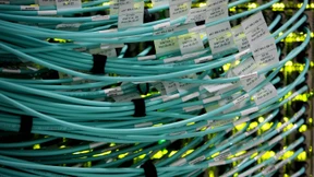 Müssen Google und Facebook gezähmt werden?