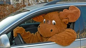 Bitte recht freundlich