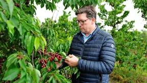 Reguliert bis in die letzte Wurzel