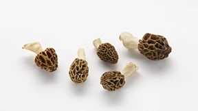 Wie das Jura schmeckt