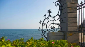 Mein Onkel aus Amerika