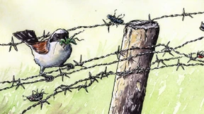 So nicht – aber wie? 