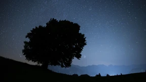 Wie verhandelt man mit dem Schicksal?