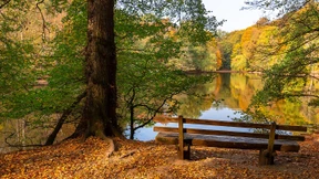 Hessens Gewässer in schlechtem Zustand
