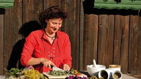 Nehmt euch bloß vor der Pestwurz in Acht!