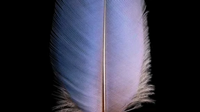 Zum Protzen und Wärmen