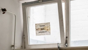 Webers Befreiungsschlag