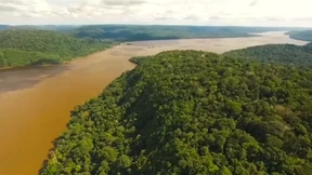 Indigene kämpfen für Amazonas-Schutz 