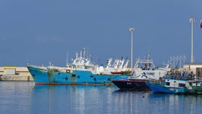 „Ein widerwärtiges Angebot“