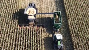 Wie ein großer Blackout die Landwirtschaft gefährden würde