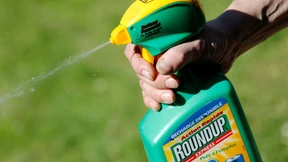 Was die Bayer-Aktie wirklich wert ist