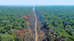 Wie sich Brasilien und Europa entzweit haben