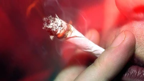 Was eine Cannabis-Legalisierung bedeutet