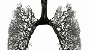 Du bist ja selbst schuld!