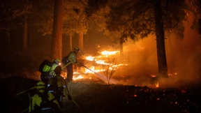 Ausnahmezustand in Los Angeles wegen schwerer Waldbrände