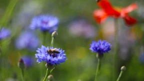 Die Ergebnisse reichen nicht aus