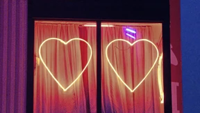 Führt ein Prostitutionsverbot zu mehr Vergewaltigungen?