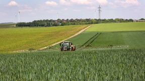 Wie sehr die Ernten am chemischen Pflanzenschutz hängen