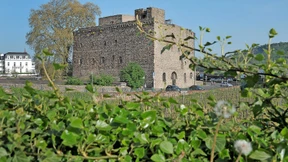 Brömserburg erwacht aus Dornröschenschlaf