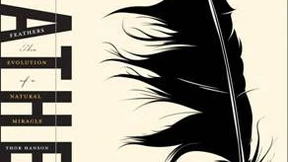 Die Feder ließ nicht gleich an Dinosaurier denken