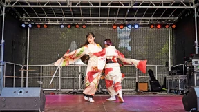 Frankfurt verliert japanisches Festival
