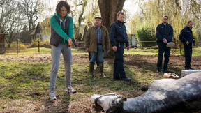 Odenthals falscher Gnadenschuss