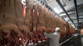 Wer nicht hören will