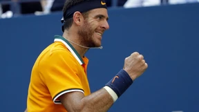 Del Potro erreicht das Halbfinale