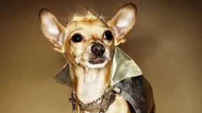 Die neue Jagd aufs Vermögen