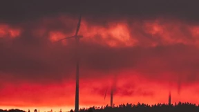 Nachhaltige Anleihen brechen Rekorde