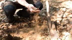 Viel zu wenig Wasser, aber keine Lebensgefahr
