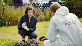 Wie sicher sind deutsche Reisepässe?