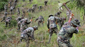 Scheitern im Versuchslabor