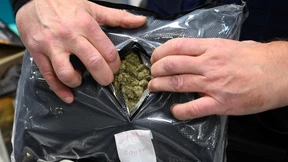 Der Zoll beschlagnahmt immer mehr Cannabis aus Nordamerika