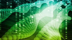 Genetische Tumordiagnostik – Basis für die Präzisionsmedizin