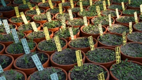 „Nötig ist eine biologische Alphabetisierung der Gesellschaft“