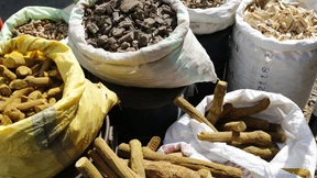 Ayurveda ist kein heilloses Durcheinander