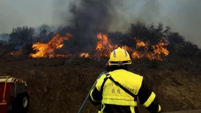 Erster großer Waldbrand des Jahres ausgebrochen
