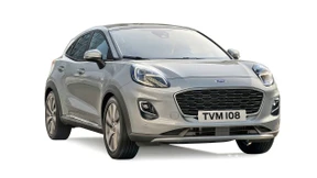 Gut gebrüllt, Berglöwe