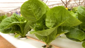 Gegen die „Dunkelheit wissenschaftsfeindlicher Panikmache“