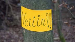 Aktivisten wollen auch nach Camp-Räumung gegen A49 kämpfen