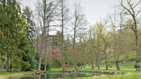 Geld für den Wingertsberg