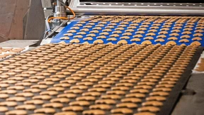 Lebt bis Weihnachten