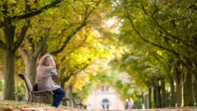 Der Sommer gibt ein Comeback 