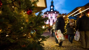 Weihnachtsbaum-Preise bleiben voraussichtlich stabil