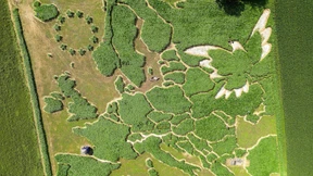 Europäer unterbreiten eigenen Ukraine-Vorschlag