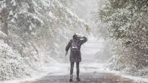 Einst ging die Prognose häufig in die Hose