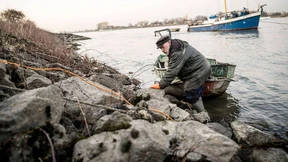 Der alte Mann und der Fluss