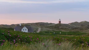 Ein Vermögen je Quadratmeter