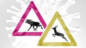 Erklär mir einer die Schweden!